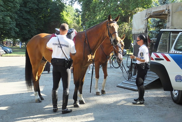 Hungarian mounted police