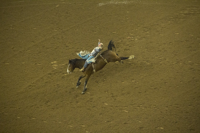 Rodeo and Concert_36