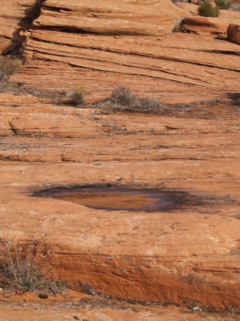 sandstone rain puddle
