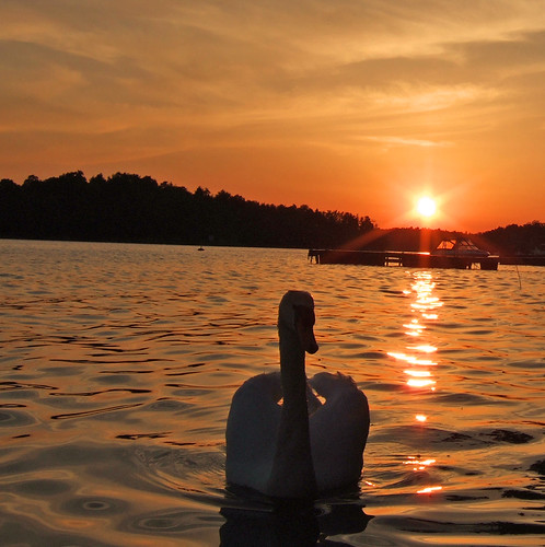 sunset sky sun lake water boat swan sweden stockholm flare rymdborje