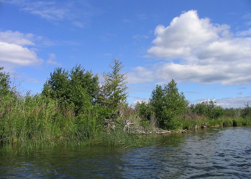 upnorth wetlands nature vacation powershot a70 canon travel indianriver michigan river summer