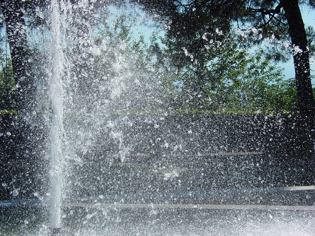 Waterdrops in Summer