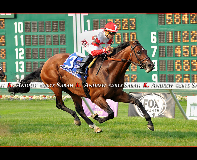 Big Blue Kitten and Joe Bravo win their second GI United Nations S. at Monmouth Park