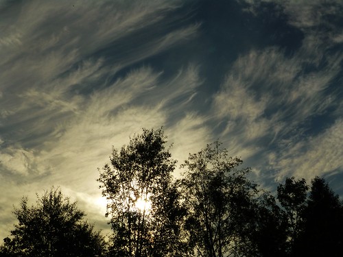 sun weather clouds skies outdoor silhouettes cirrus