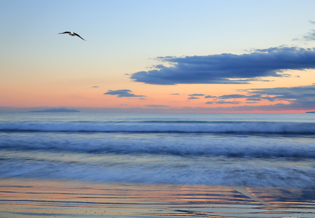 晴天の島 twilight seascape. | KaraseEnoshima-Beach. | cate♪ | Flickr