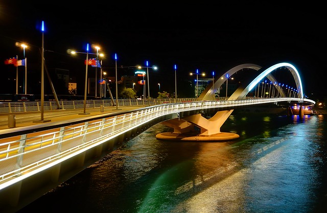 Pont Raymond Barre night