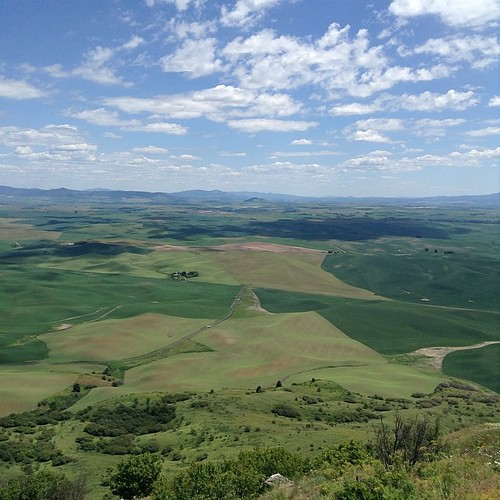 Who would agree that the view from Steptoe Butte is one of the prettiest places in Washington? #Palouse #WSU #GoCougs