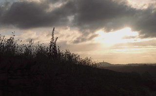 Sunrise, Castle Hill, 4