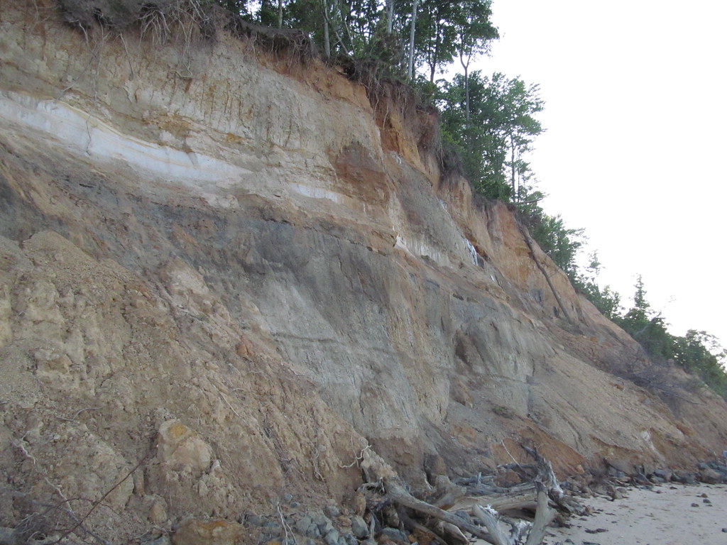 Calvert Cliffs State Park