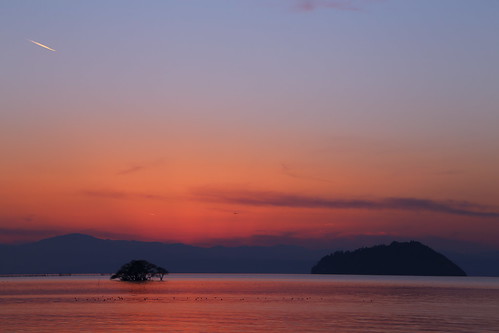 winter light sunset tree nature water japan landscape island evening lakeside 日本 japon shiga kohoku biwalake 琵琶湖 湖北 滋賀 ef24105mmf4l 竹生島 葦原 canoneos6d
