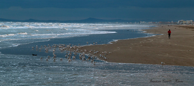 Spiaggia di Rimini in inverno