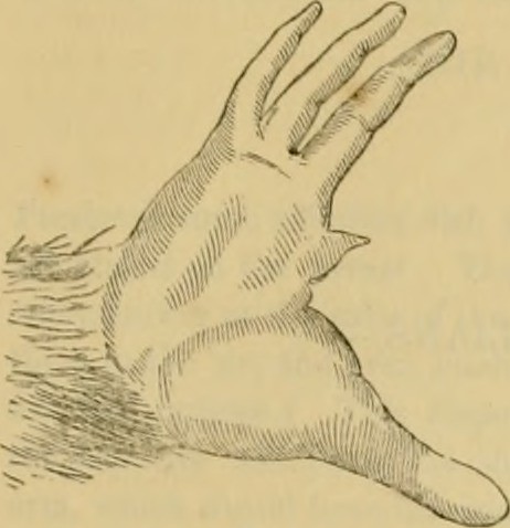 Paternoster