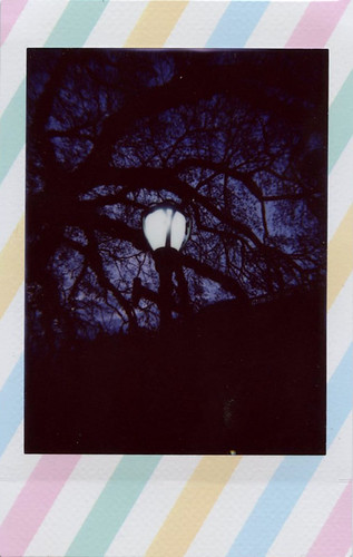 streetlight | by Judy M. Boyle