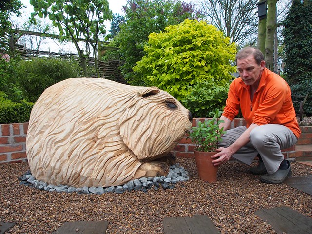 Giant guinea pig chainsaw sculpture, big chainsaw carving by Mick