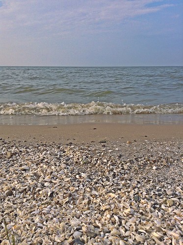 ohio summer shells lake beach nature seashells sand waves lakeerie sandy sandybeach portclinton portclintonohio ohiobeach portclintonbeach