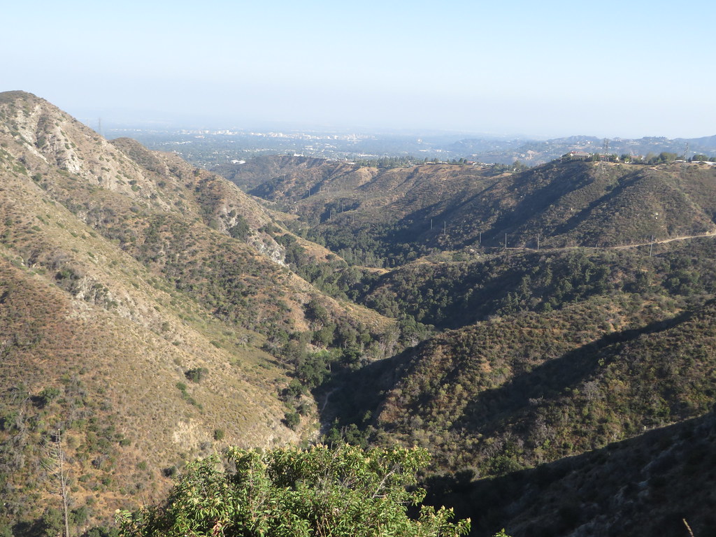 Station Ridge Trail
