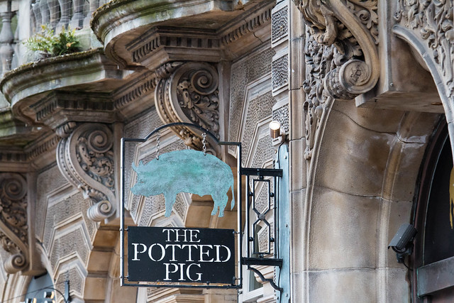 The Potted Pig