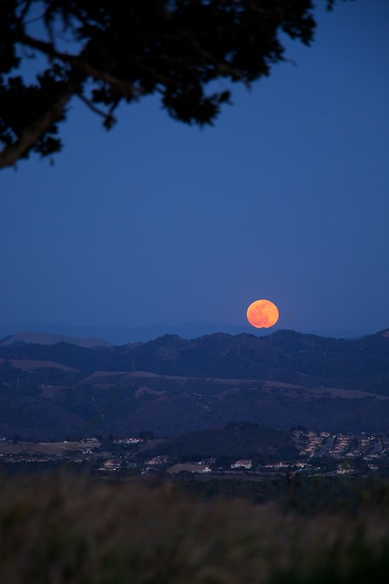 Moonrise from Pismo Preserve IMG_0604