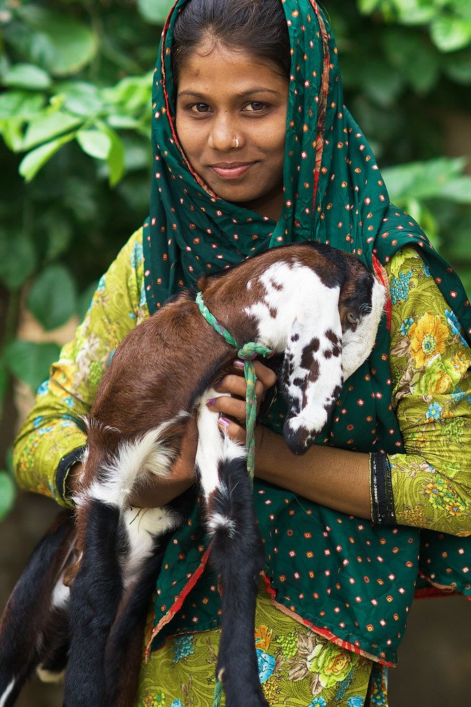Beautiful Indian Girl posing with her lamb in a village ne… | Flickr