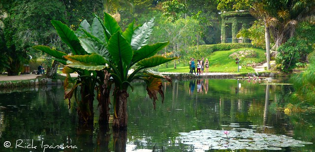 Lago Frei Leandro - Jardim Botânico do Rio de Janeiro