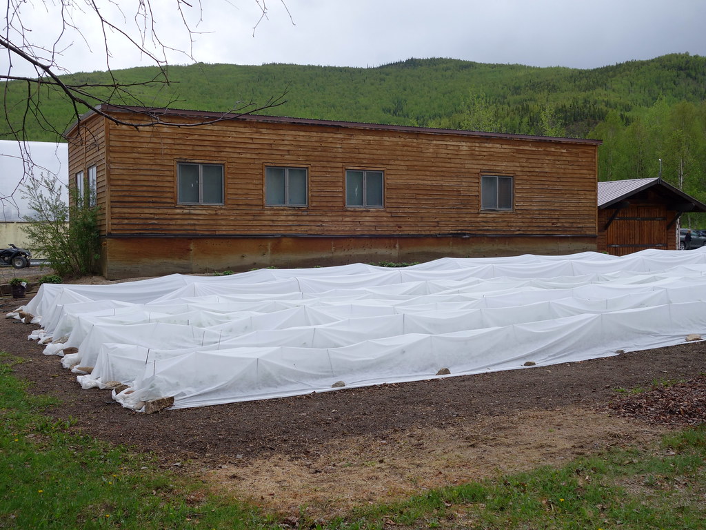 Floating Row Covers In A Garden Location Chena Hot Spring Flickr