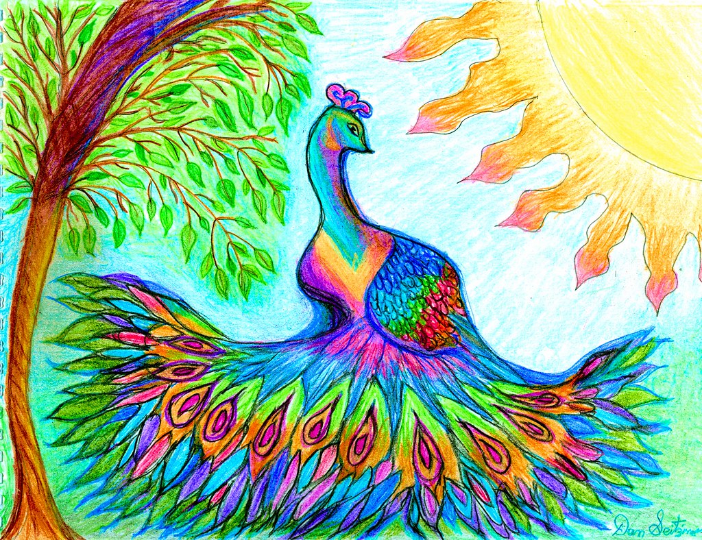Color Pencil Hand Drawn Peacock by Dan Seitzinger - 11-20-…
