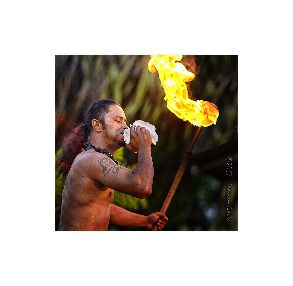 Conch Call | Pū, a Hawaiian conch shell, is a large seashell… | Flickr