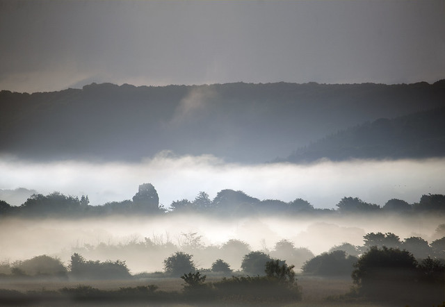 Misty Gwent Landscape