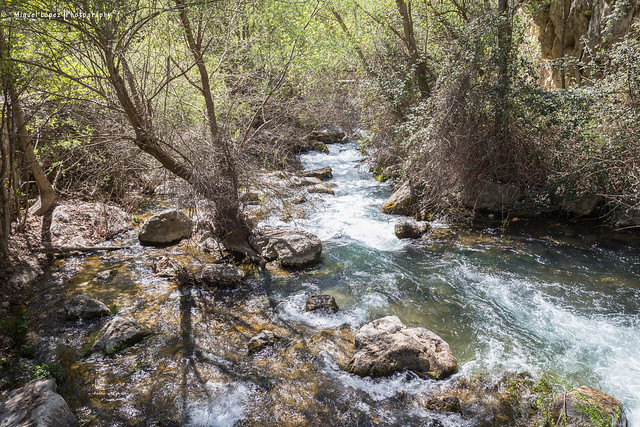 Río Castril  //  Castril river