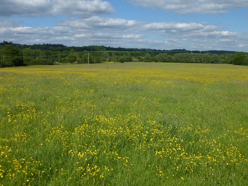 Earlswood start Earlswood to Otford walk