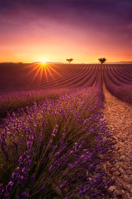 One day in Provence