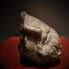 museo Barracco - frammento di testa maschile