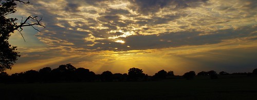 trees light sunset sky sun clouds shropshire fields