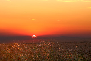Sunset, Hertfordshire England