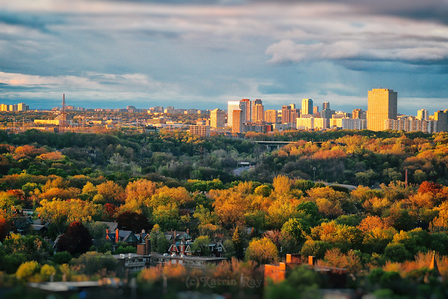 Toronto's Tales of Dales. Golden Cityscapes of May
