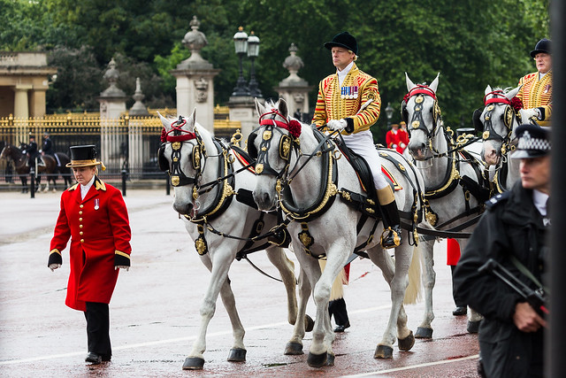 Windsor Greys in State Livery