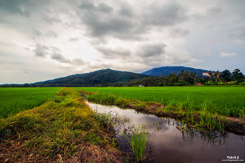 mountain paddy malaysia hdr kedah pakcikg hdrediting ilobsterit