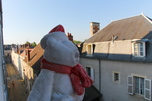 bear street city morning urban france june bourges berry europe view centre polarbear cher bloomingdales rue vue burg matin ours ourson 2014 meteorry nonours mrbloomingdales misterbloomingdales biturges acaricorr acaricum ruedusécretain