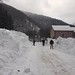 Spontánní lavina zasáhla 4. ledna okraj obce Vulšany a komunikaci Chust Koločava, foto: Zakarpattya.net