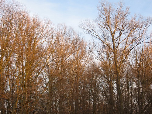 pardubice wilderness sunset