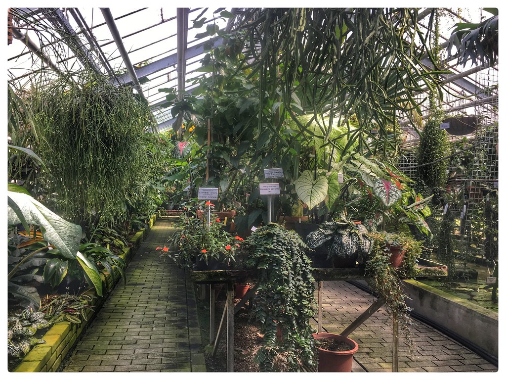 Botanischer Garten Munster Sandra Lentfort Flickr