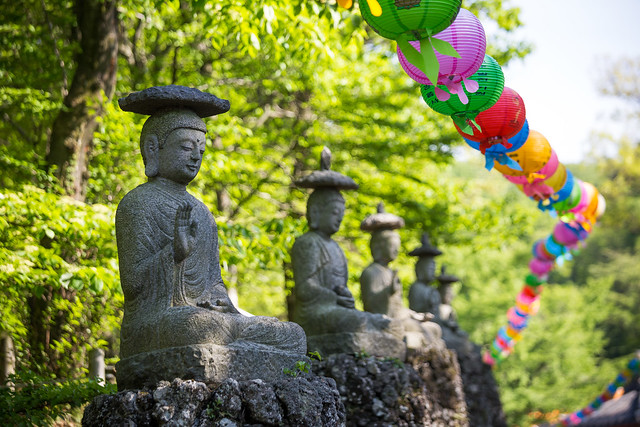 The 2014 Buddha's Birthday Festival