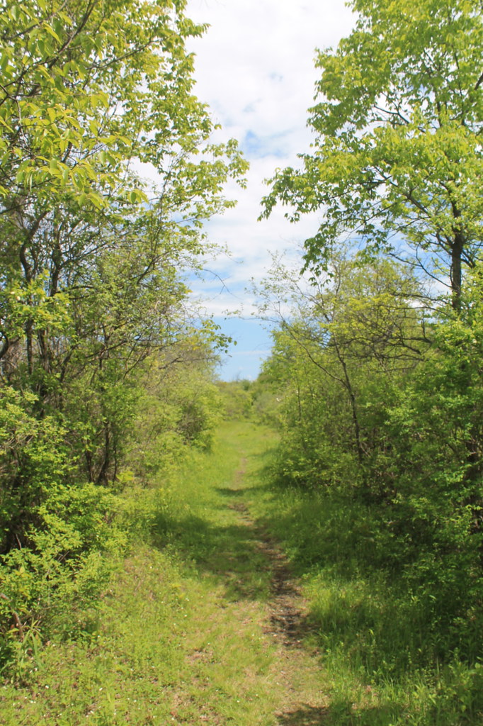 Link Trail