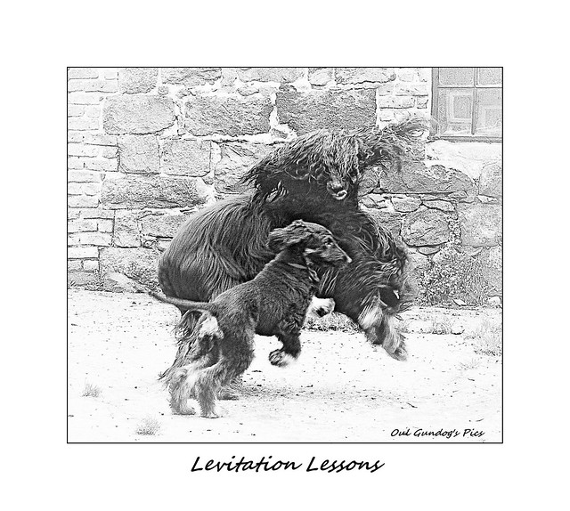 Levitation Lessons