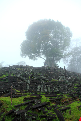 tree fog indonesia cianjur jawabarat megalithicsite ancientruin gunungpadang