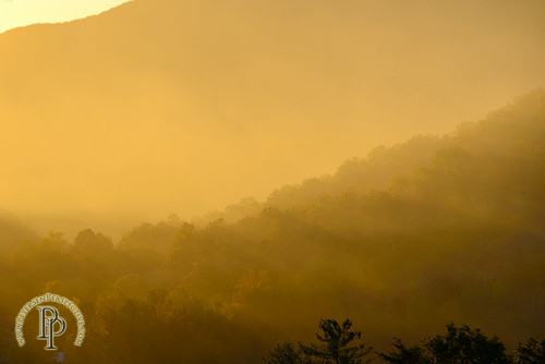 trees sunset mountains golden glow