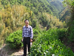 Mr. He our Zhejiang Long Jing producer