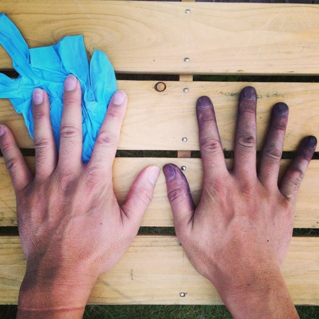 草取り終了 昨日左爪につけ爪付けたばかりなので ビニール手袋を こんなに手の色が変わっちゃいます なんでこん Flickr
