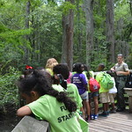 A group of children attend a ranger guided hike in the swamp