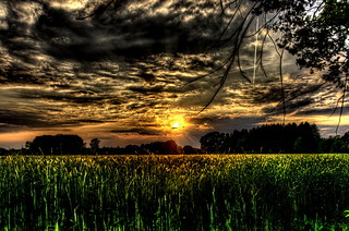 sunset on the countryside